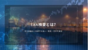 EAA検査とは？中古車輸出と医療での違い・費用・流れを解説